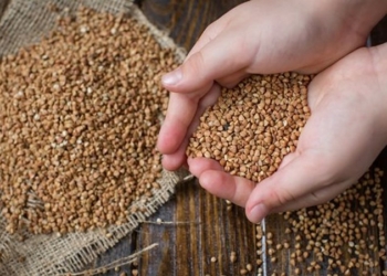 Украинцам обещают снизить цену на гречку