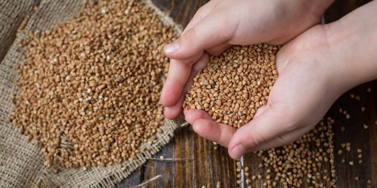 Украинцам обещают снизить цену на гречку