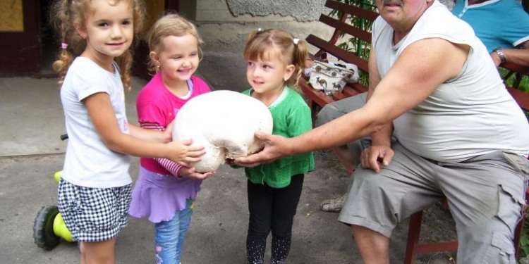 На Волыни нашли гигантский гриб