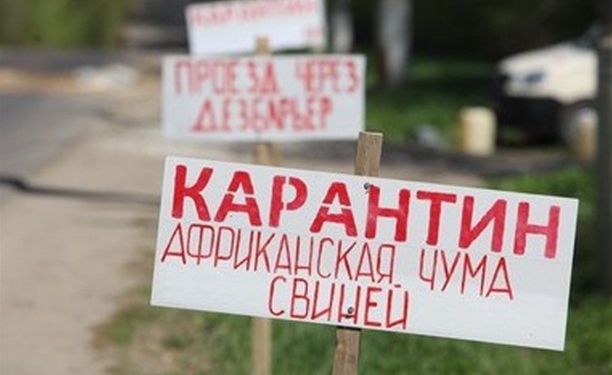 Африканская чума свиней. На въездах в Николаев начали устанавливать дезбарьеры
