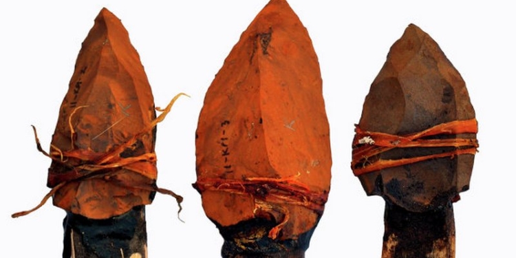 Музей под Ярославлем наказали за древние наконечники копий – не было разрешения на оружие