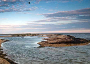 Сезон без сезона. Бывший министр туризма Крыма Александр Лиев рассказал, что происходит на полуострове