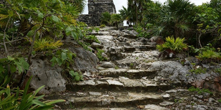 Математики раскрыли неожиданную тайну исчезновения цивилизации майя