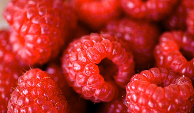 Сербы виноваты. Почему в Украине не дешевеет малина