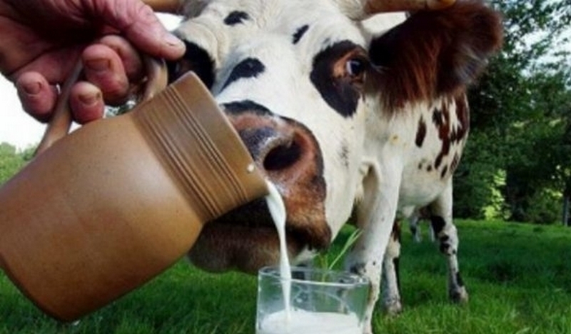 В 2017 году запустят проект по производству молока без участия коров 1
