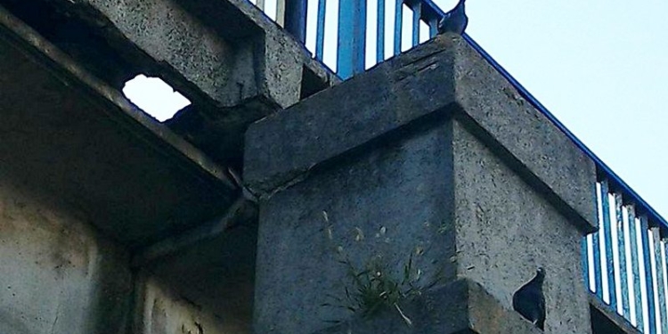 Широкобальский мост в Николаеве в аварийном состоянии  – при проезде зерновозов бетон осыпается на глазах