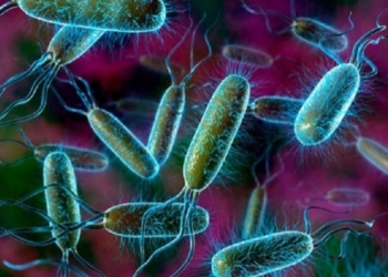 В Николаеве содержание кишечной палочки в водоёмах в несколько раз превышает норму