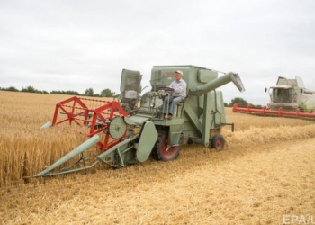 Цены на пшеницу в мире – минимальные за последние 10 лет