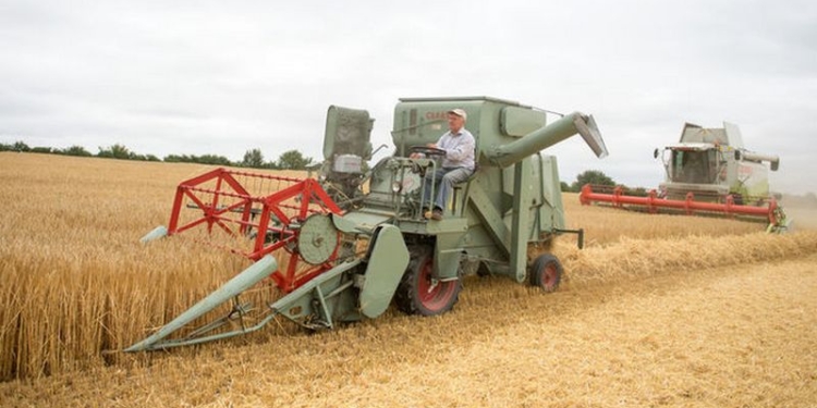 Цены на пшеницу в мире – минимальные за последние 10 лет