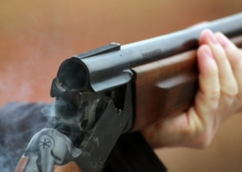 На Николаевщине в лесополосе нашли тело женщины с простреленной головой