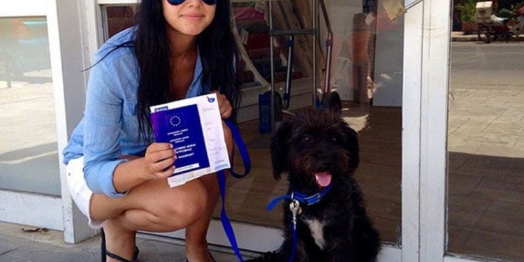 Бродячая собака спасла девушку от насильников на пляже и была вознаграждена