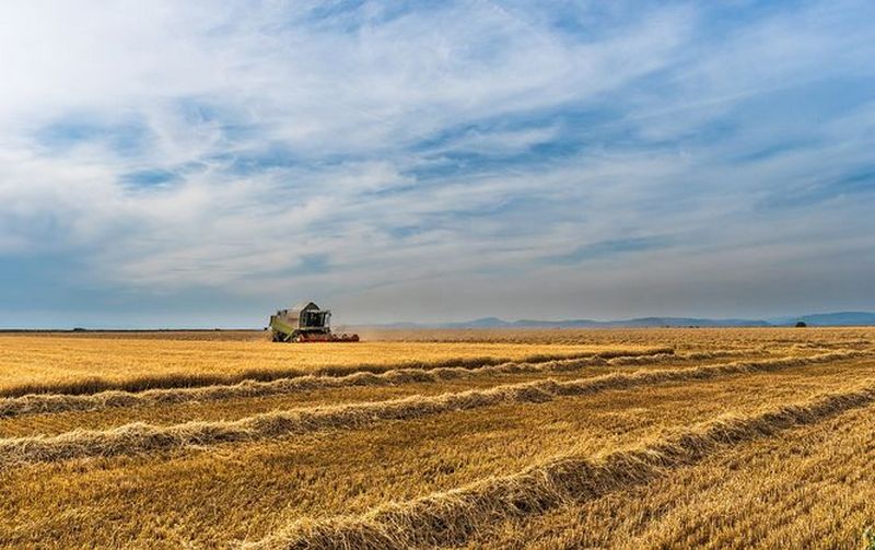 Украина за 2016 год удвоила экспорт пшеницы 1