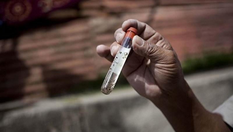 Российская вакцина против коронавируса оказалась ветеринарным препаратом
