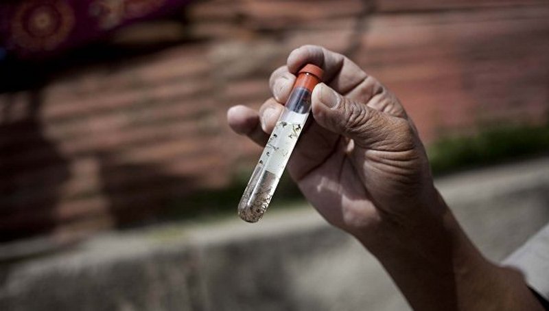Moderna разработала вакцину против ВИЧ, начинает испытания 1