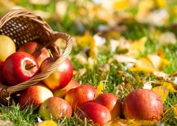 Сегодня у православных и католиков  – Яблочный Спас