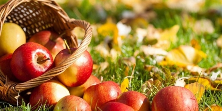 Сегодня у православных и католиков  – Яблочный Спас