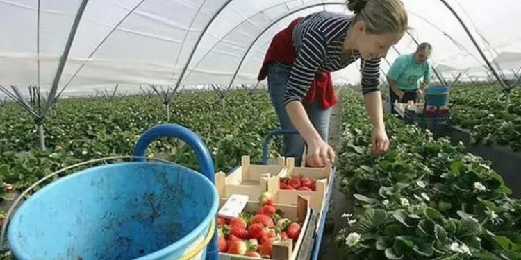 В Польше с 2017 года меняют правила трудоустройства украинцев