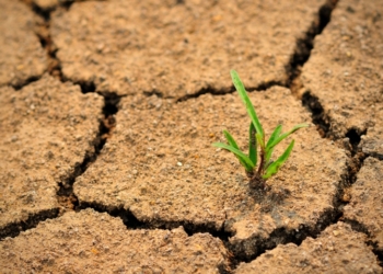 Через 10 лет земледелие в Николаевской области будет возможно только на орошаемых землях – Укргидрометцентр