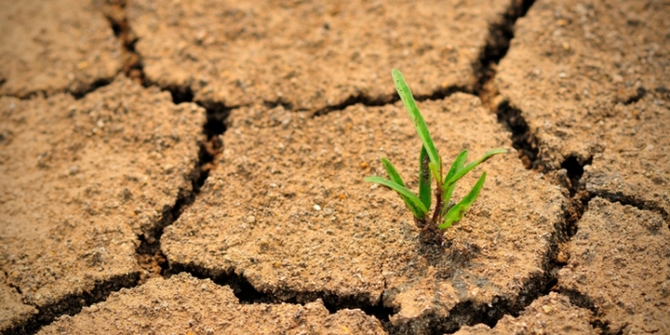 Через 10 лет земледелие в Николаевской области будет возможно только на орошаемых землях – Укргидрометцентр