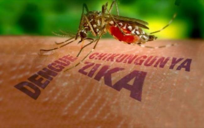 Кто планирует зимний отпуск в тепле: в Турции появились комары-переносчики вируса Зика  1
