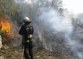 Сжигал мусор, а чуть не сжег жилой дом: в Казанке тушили пожар