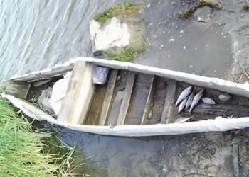 На Николаевщине утонул 89-летний рыбак – запутался в рыболовных сетях