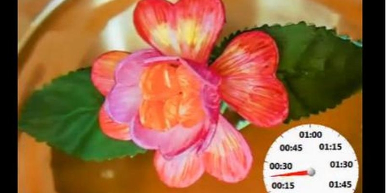 Наука не стоит на месте: создан материал, меняющий свою форму