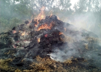 Во Врадиевском районе полыхало жарко, но соседскую солому и жилой дом спасти удалось