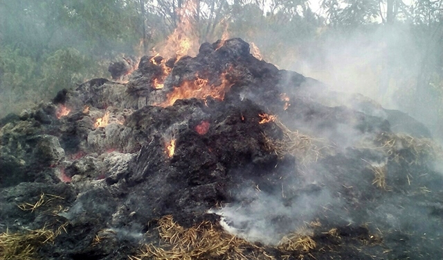 Во Врадиевском районе полыхало жарко, но соседскую солому и жилой дом спасти удалось