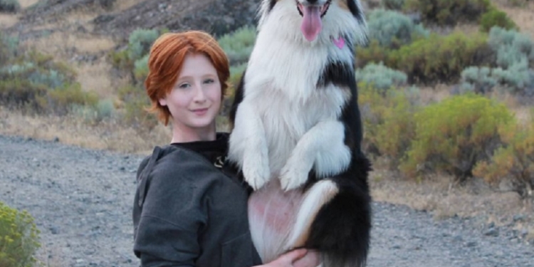 Мери и ее Секрет: пинг-понг, йога, танцы и многое другое – дружба девушки и собаки