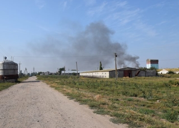 Черный дым АЧС на Николаевщине: уничтожение больных свиней легло, в основном, на плечи спасателей (18+)