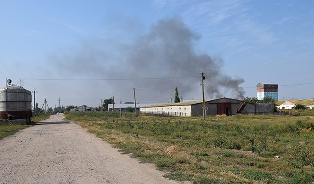Черный дым АЧС на Николаевщине: уничтожение больных свиней легло, в основном, на плечи спасателей (18+)