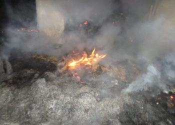 За сутки на Николаевщине четырежды горели хозпостройки