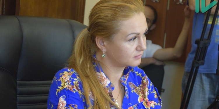 Николаев обзаведётся сайтом, где разместится городской геокадастр