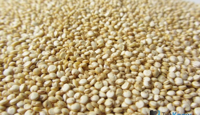 Пища богов от инков. В Украине впервые собрали урожай киноа