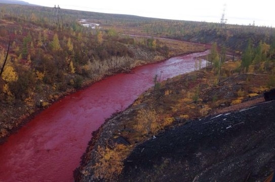 В Норильске река стала багрово-красной