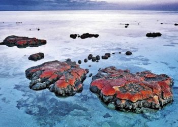 Ученые обнаружили в Гренландии древнейшие следы жизни на Земле