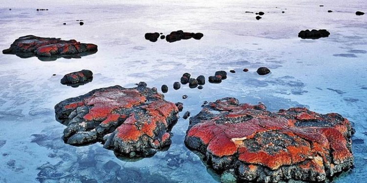 Ученые обнаружили в Гренландии древнейшие следы жизни на Земле