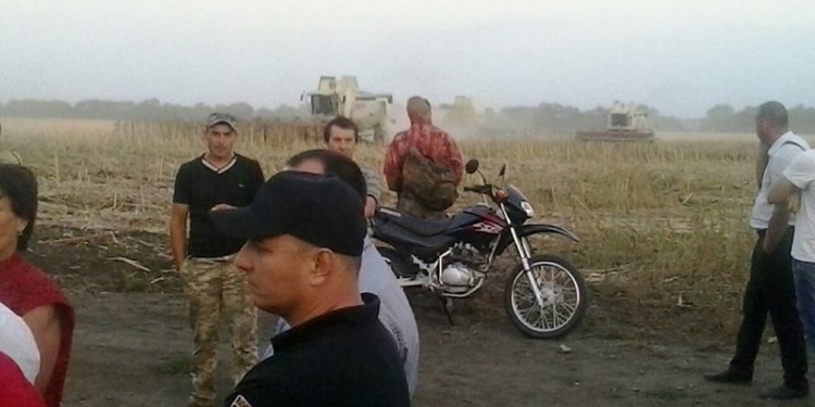 Полиция думала и придумала: на полях, за которые спорят «Агрофирма Корнацкого» и «Партнер-Агро», во время сбора урожая будут присутствовать правоохранители
