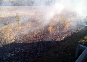 За прошедшие сутки зарегистрировано 28 пожаров сухой травы и мусора в Николаевской области – огонь прошел 11 га