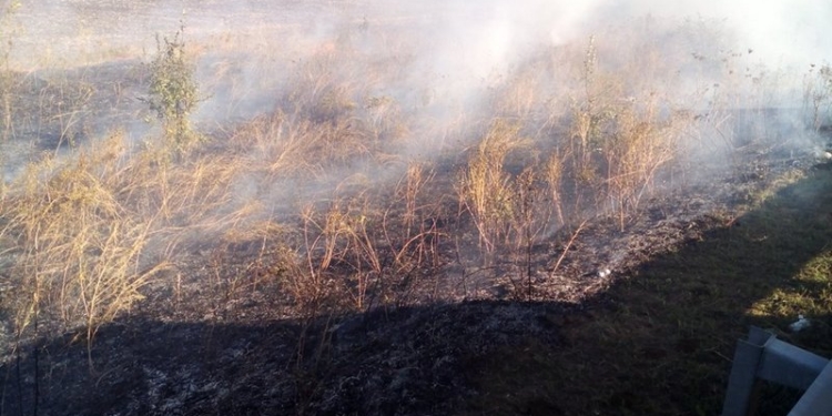 За прошедшие сутки зарегистрировано 28 пожаров сухой травы и мусора в Николаевской области – огонь прошел 11 га
