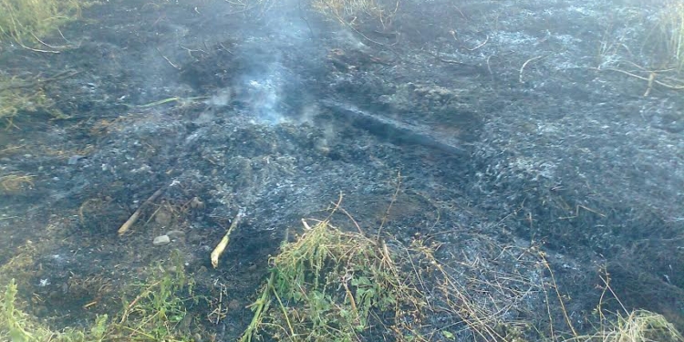 В Николаевской области горит сухая трава. Спасатели просят граждан проявить сознательность