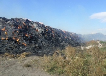 В Кривоозерском районе скирды соломы загорелись не случайно – спасатели подозревают поджог