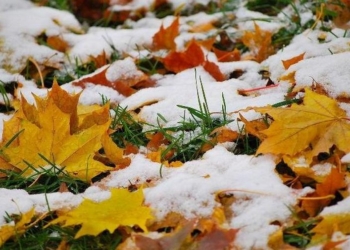 Харьков засыпало снегом с градом