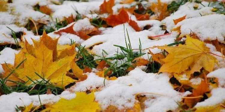 Харьков засыпало снегом с градом