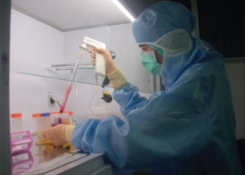 Ученые получили живых зародышей мышей из неоплодотворенных яйцеклеток