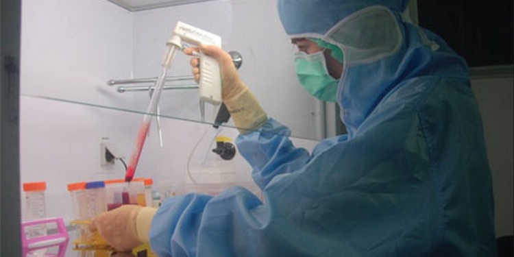 Ученые получили живых зародышей мышей из неоплодотворенных яйцеклеток