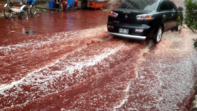 Кровавые реки в Бангладеш. Врачи опасаются эпидемий