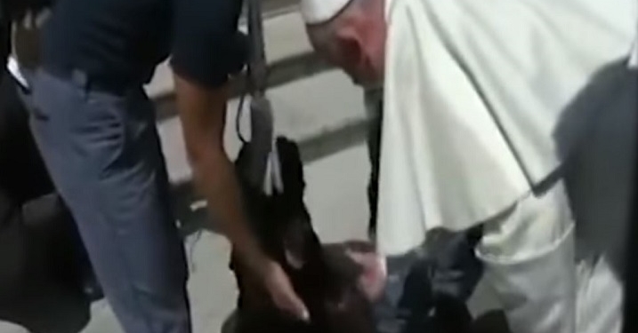 Папа Римский пожал лапу псу, спасшему девочку после землетрясения