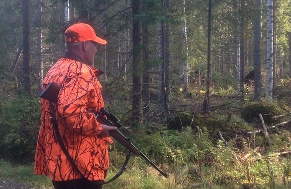 Лось и лосось. В Финляндии открылся сезон охоты, учтите, туристы